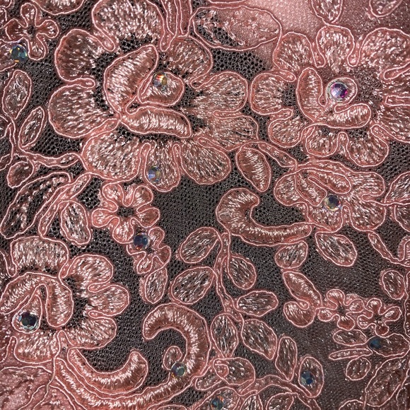 Prom/Formal Open-back Pink Dress from David’s Bridal - Picture 5 of 6